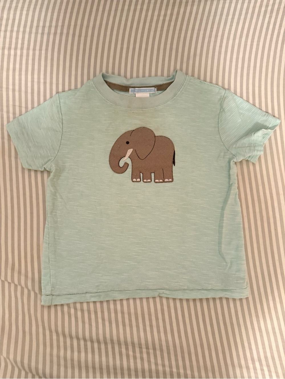 Janie and Jack Light Mint Tee with Brown Elephant